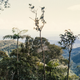 Cordillera Azul National Park, as seen during a 1996 research expedition. Photo Courtesy Andy Kratter